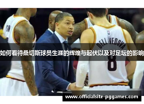 如何看待桑切斯球员生涯的辉煌与起伏以及对足坛的影响