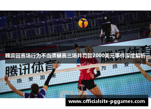 魏震因赛场行为不当遭禁赛三场并罚款2000美元事件深度解析